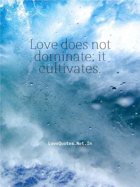 Love Does Not Dominate