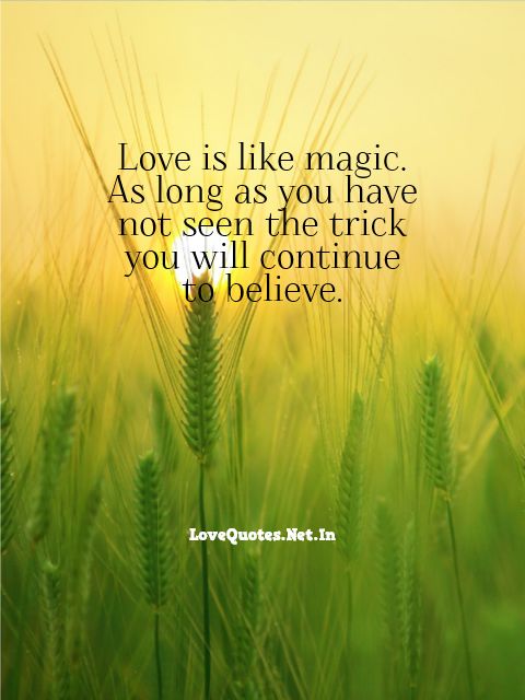 Love Is Like Magic