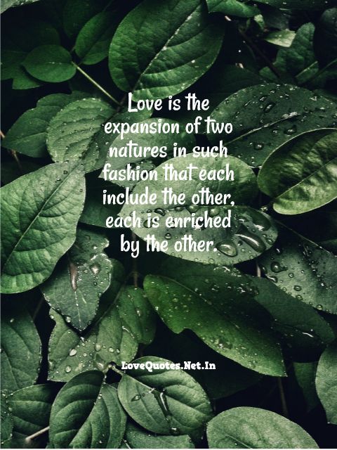 Love Is The Expansion Of Two Natures