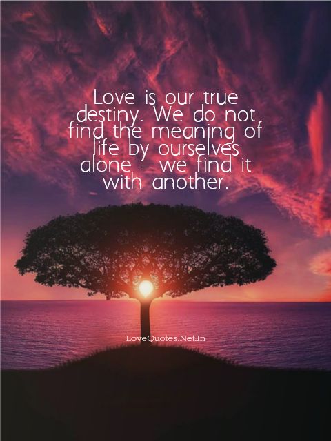 Love is Our True Destiny