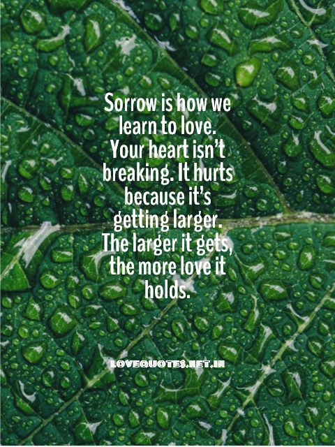 Sorrow Is How We Learn To Love