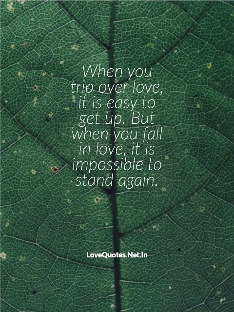When You Trip Over Love