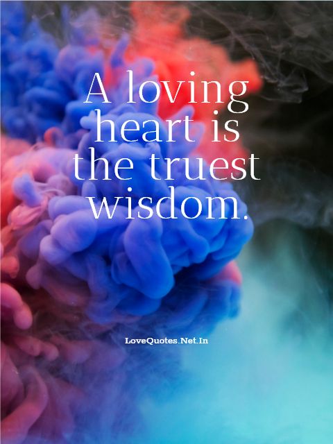 A Loving Heart Is The Truest Wisdom