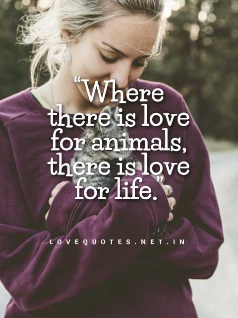 Animal Love Quotes