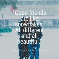 Best Friend Love Quotes