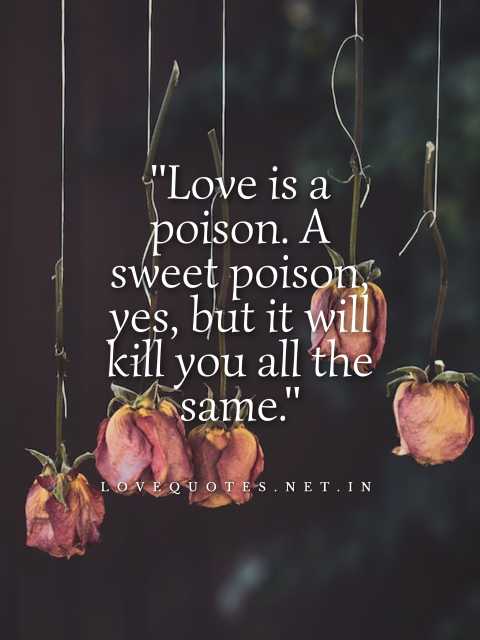 Dark Love Quotes