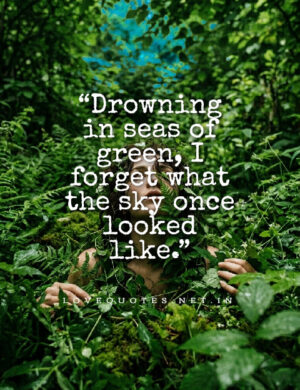 Drowning in Seas of Green