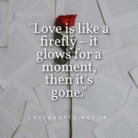 Fake Love Quotes in English