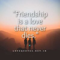 Friendship Love Quotes