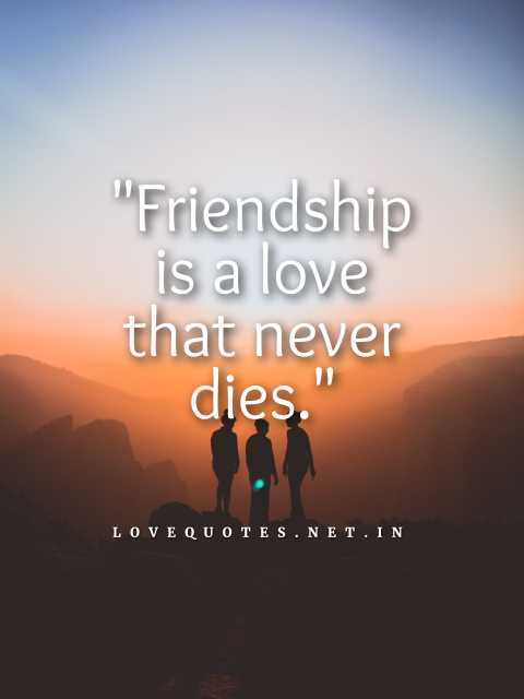 Friendship Love Quotes