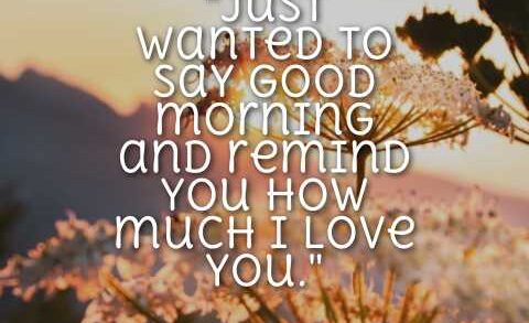 Good Morning My Love Quotes for Him