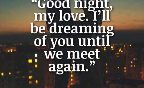 Good Night Love Quotes