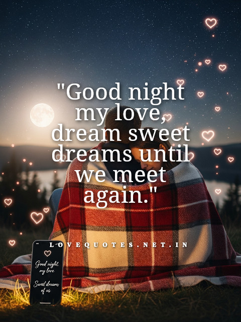 Good Night Love Status