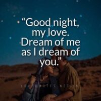 Good Night My Love Quotes