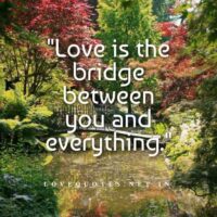 Heart Touching Emotional Love Quotes