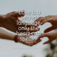 Hidden Love Quotes