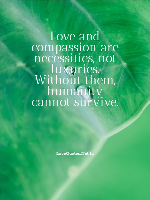 Love And Compassion Are Necessities