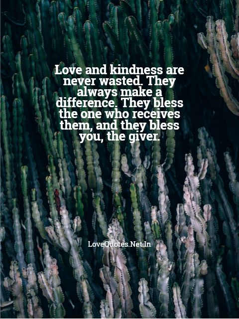 Love And Kindness Are Never Wasted