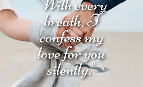 Love Confession Quotes