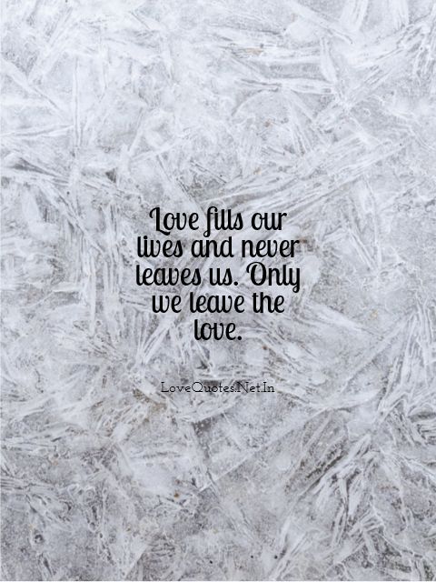 Love Fills Our Lives