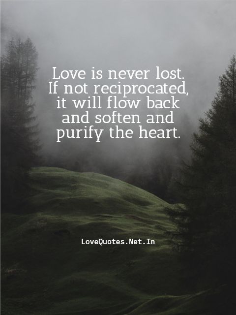 Love Is Never Lost