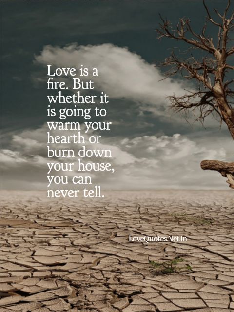 Love Is a Fire