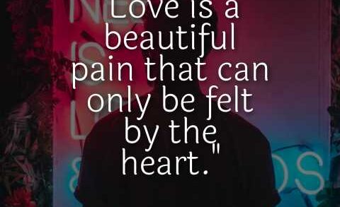 Love Pain Quotes