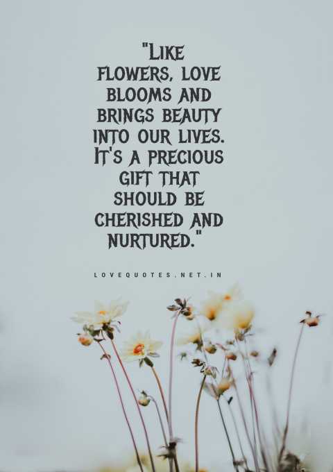 Love Quotes About Flowers