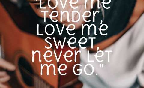 Love Song Quotes