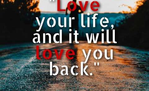 Love Your Life Quotes