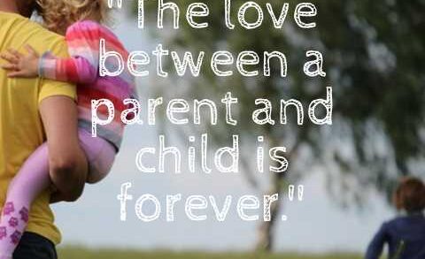 Love Your Parents Quotes