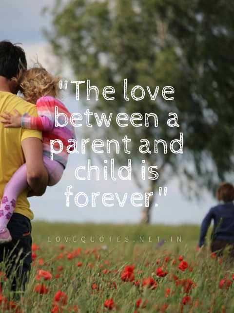 Love Your Parents Quotes