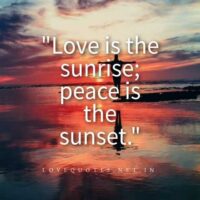 Love and Peace Quotes