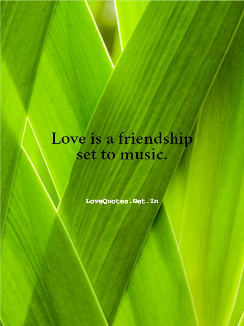 Love is a Friendship Set to Music