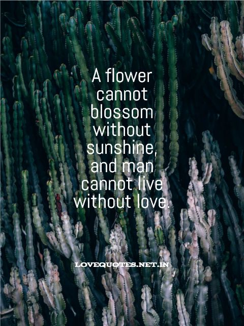 Man Cannot Live Without Love