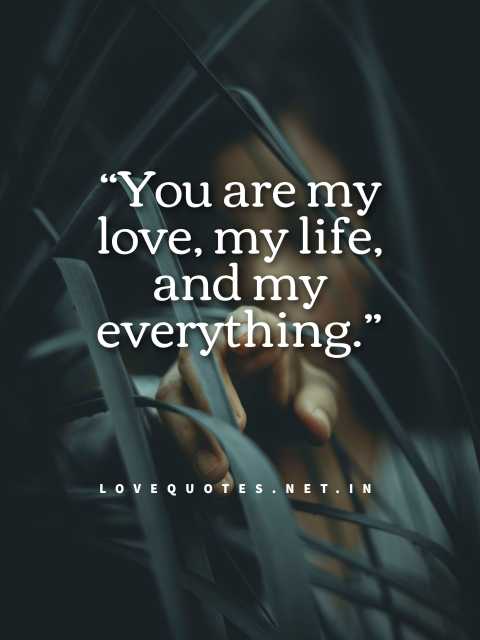  My Love Quotes 