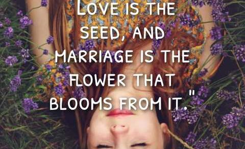 Quotes About Love and Marriage