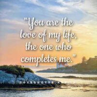 You Are the Love of My Life Quotes