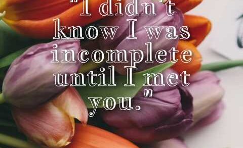 You Complete Me Quotes